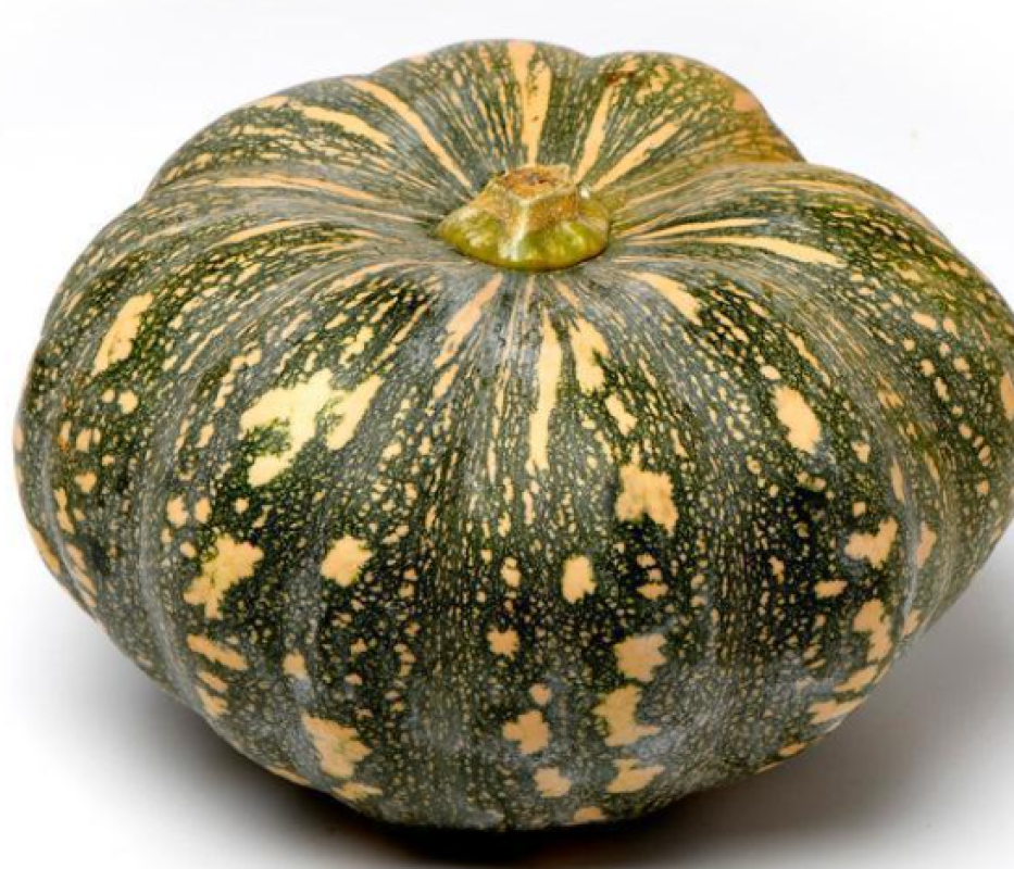 Pumpkin from Uganda